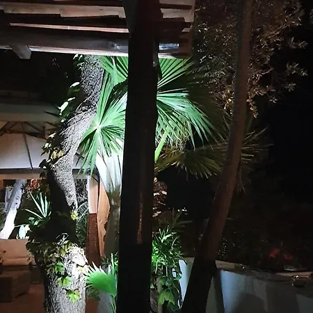 La Genziana Villa Parghelia