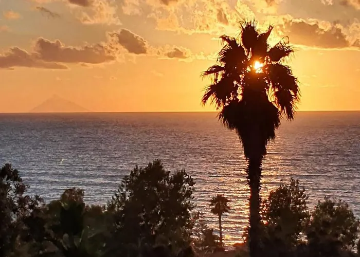 La Genziana * パルゲリーア